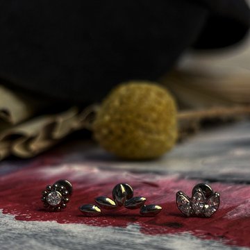Titanium piercing sieraden
