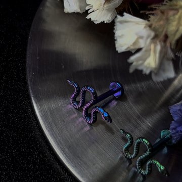 Geanodiseerde Piercingsieraden