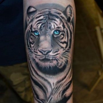 Tijger tattoo